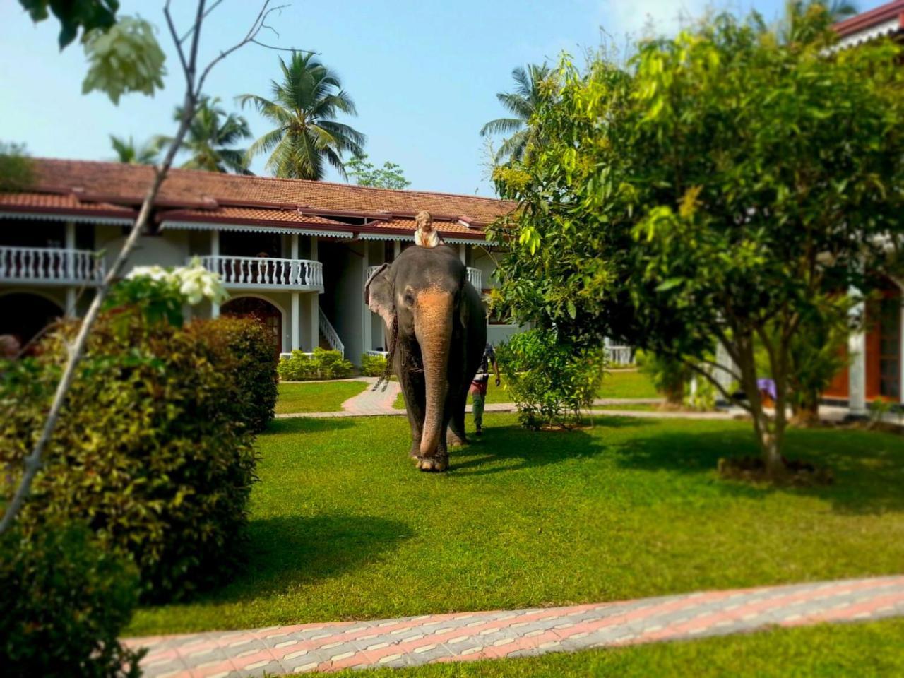 Bougain Villa Bentota Exterior photo
